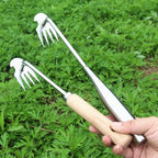 Root Master
