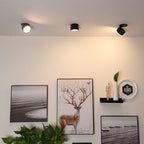 Veluna Lamp