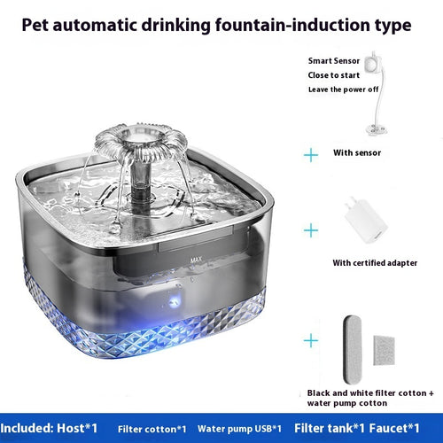 AquaPaws